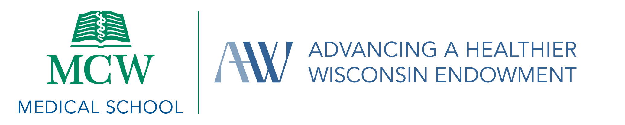 MCW Medical School | Advancing a Healthier Wisconsin Endowment