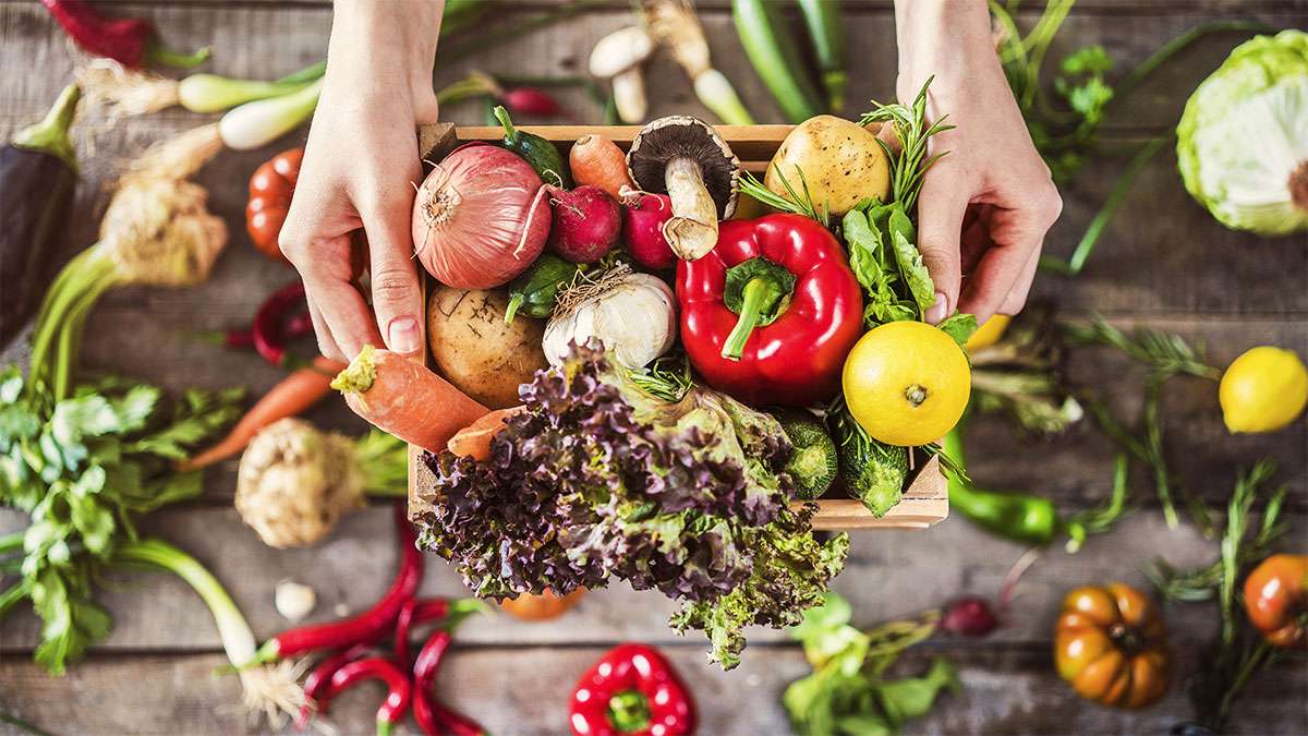 A person is holding a basket full of fresh garden vegetables