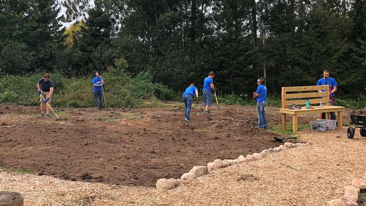 Several NTC employees are weeding through dirt by hand and with garden tools at the Monk Botanical Gardens.