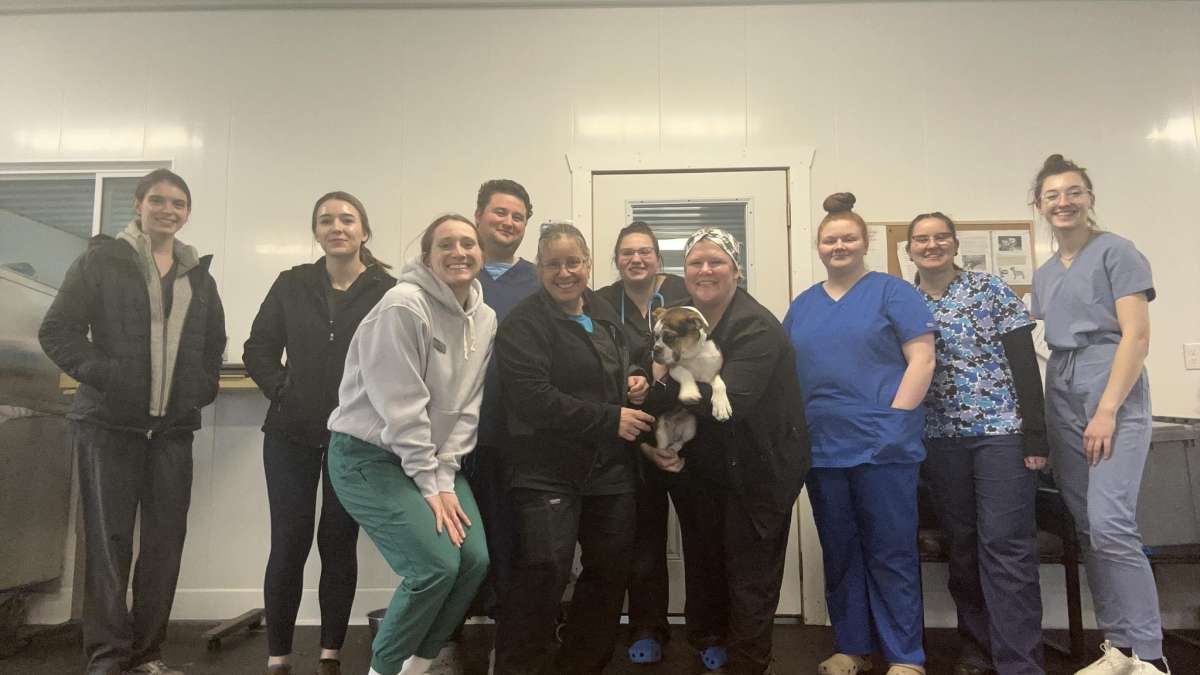 NTC Veterinary Technician Students
