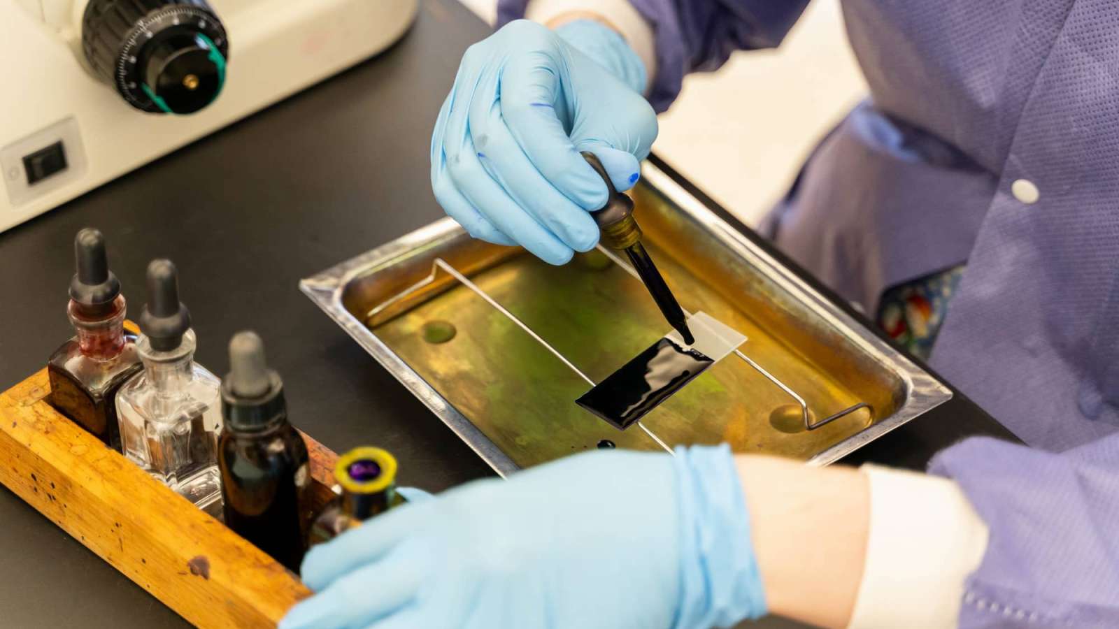 A close-up view of a student squeezing drops of an inky black solution from an eyedropper onto a microscope plate.