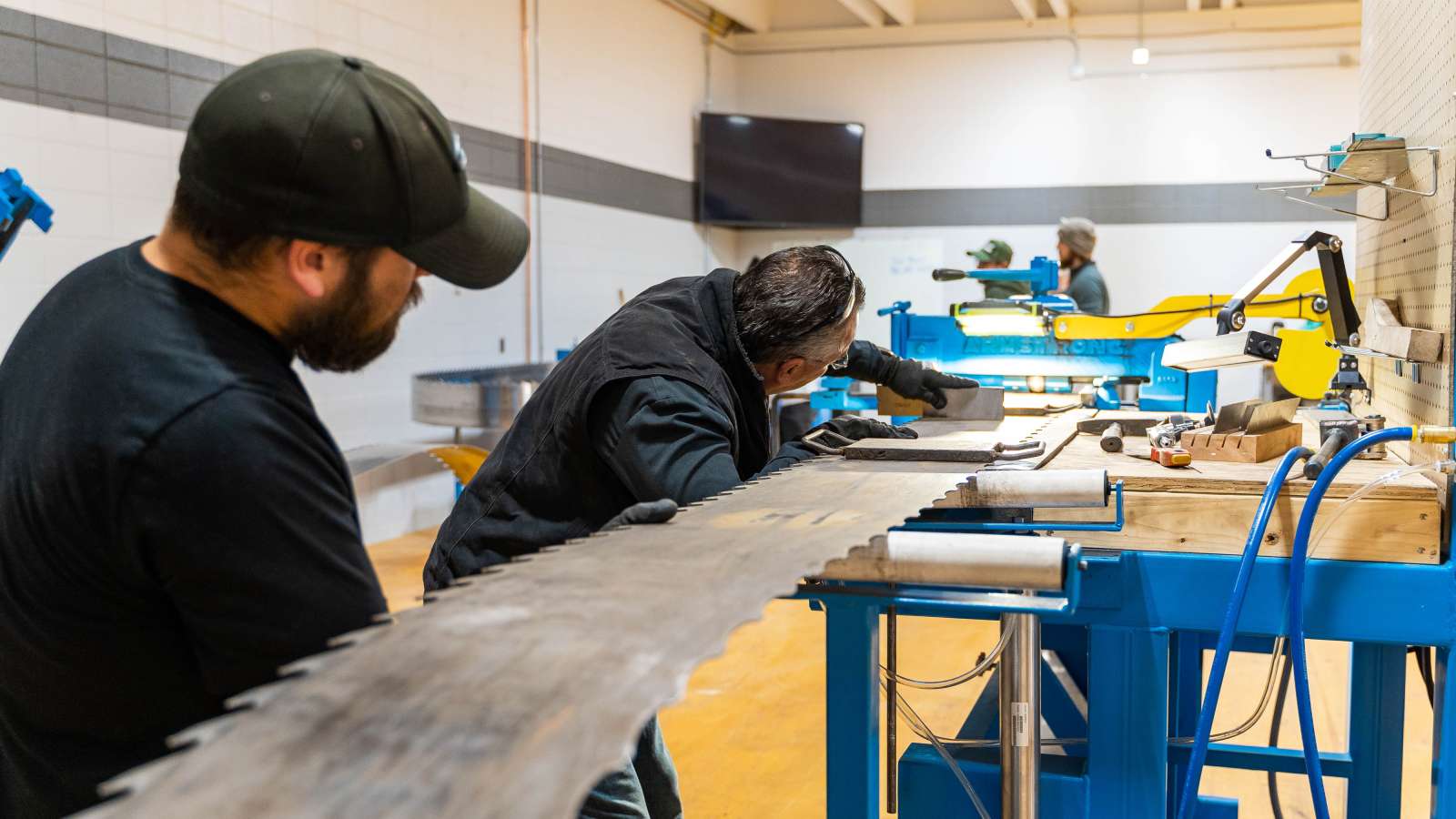 A person filing a large band saw blade which rests on a worktop while another person looks on in the foreground.