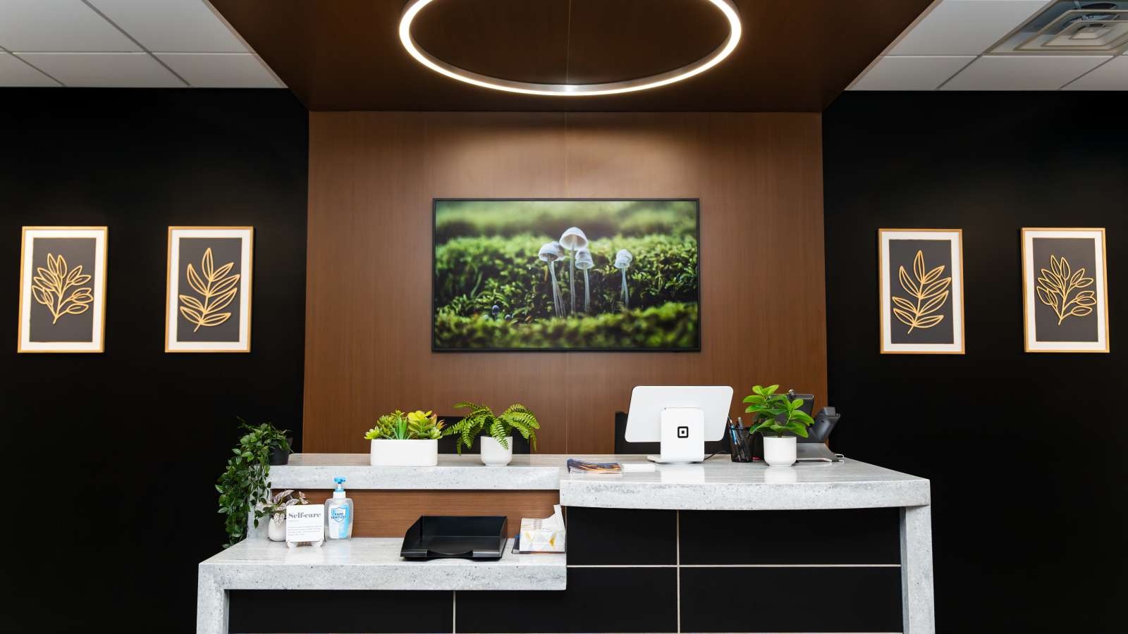 The modern front desk/reception area of the Therapeutic Massage Center with sleek black and wood design, potted plants, framed leaf art, a nature photo, and a circular ceiling light.