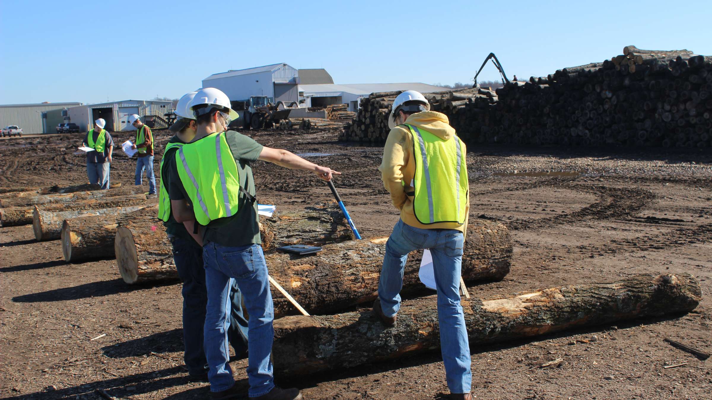 Hardwood Log Scaling & Grading Conferences, Seminars, and