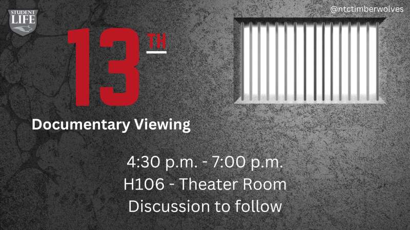 prison cell - 13th documentary viewing