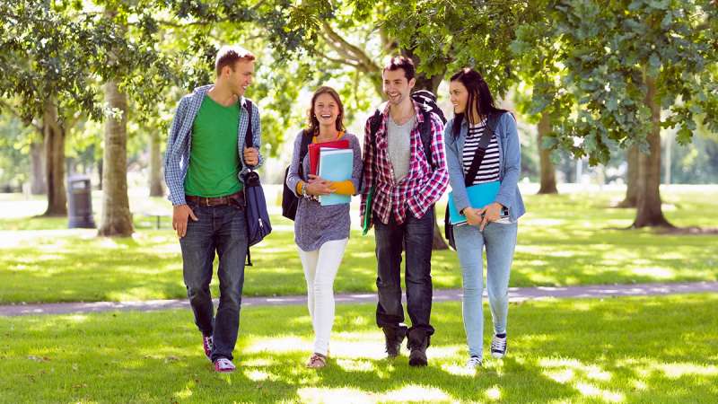 Four college students walk together outside on a sunny day, smiling and holding books on a green, tree-lined campus.