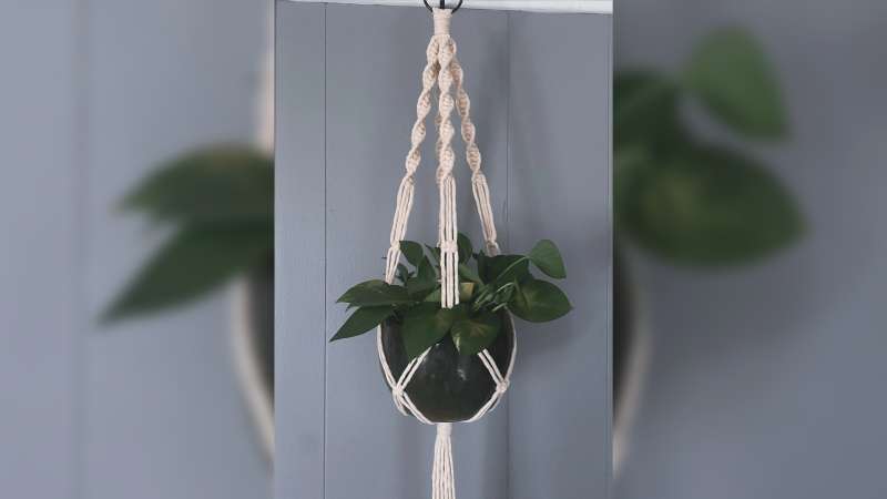 Hanging macramé planter suspending a round white pot with glossy trailing green leaves against a gray vertical wood-paneled background.