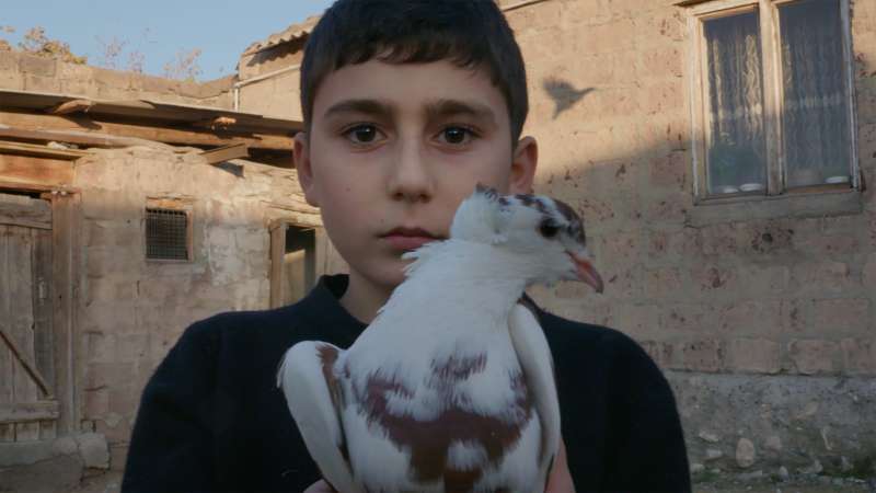 A serious young boy cradling a white-and-brown pigeon against his chest in a sunlit stone courtyard.