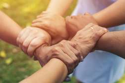 Close-up of diverse hands clasped together in a circle, bathed in warm sunlight against a blurred green outdoor background.