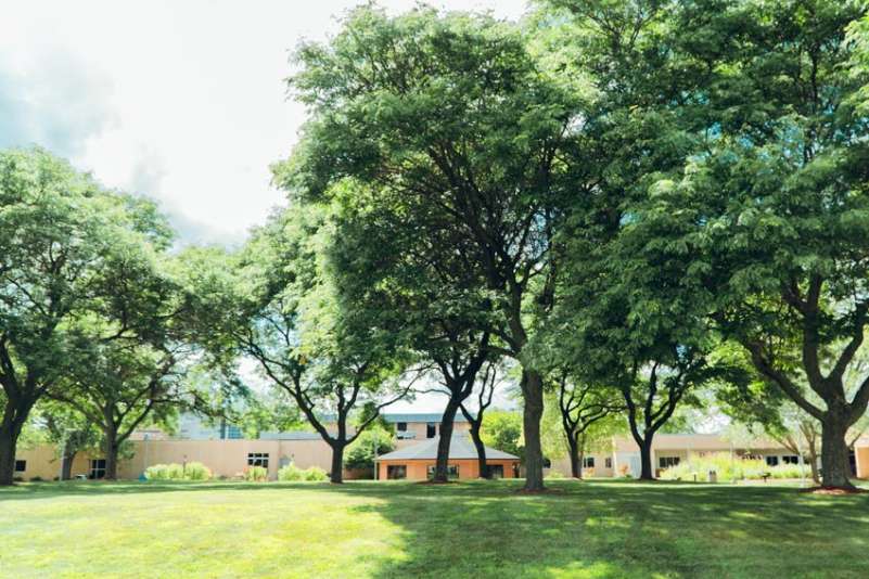 The grass-covered portion of the Courtyard at the Wausau Campus, with several trees providing shade.