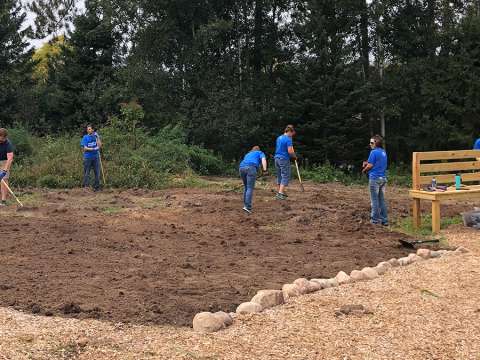 Several NTC employees are weeding through dirt by hand and with garden tools at the Monk Botanical Gardens.
