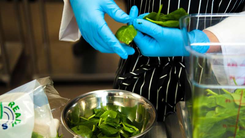 Food service worker wearing gloves inspecting spinach leaves over a bowl.
