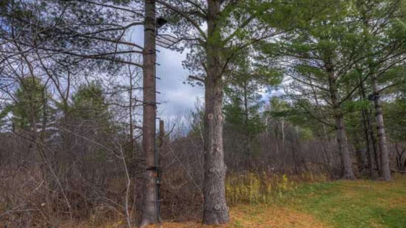 A deer stand mounted in a tree in the woods at the Public Safety Center of Excellence