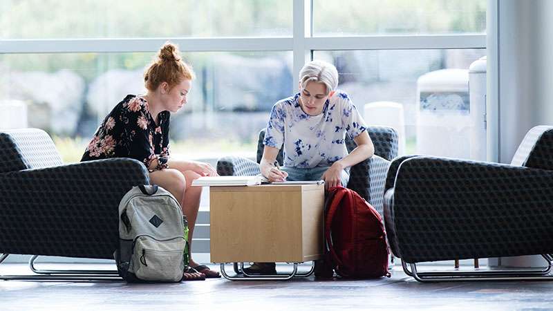 Two students are at a table a table working together