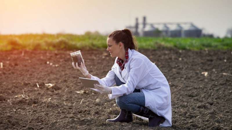 A crop scout examining a soil sample in a field.