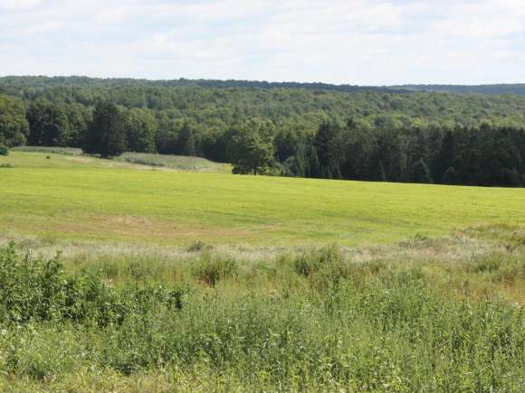 A view of a field used for crops at the Agriculture Center of Excellence.