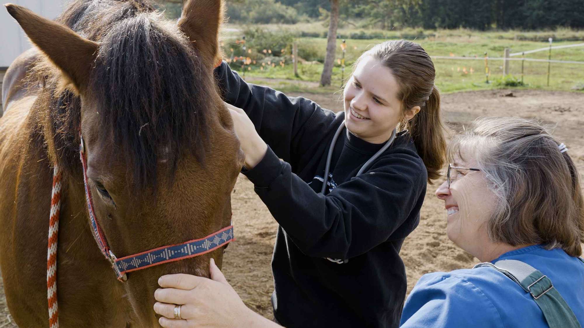 A Veterinary Technician student examines a horse, while an instructor looks on, with one hand placed on the horses face.