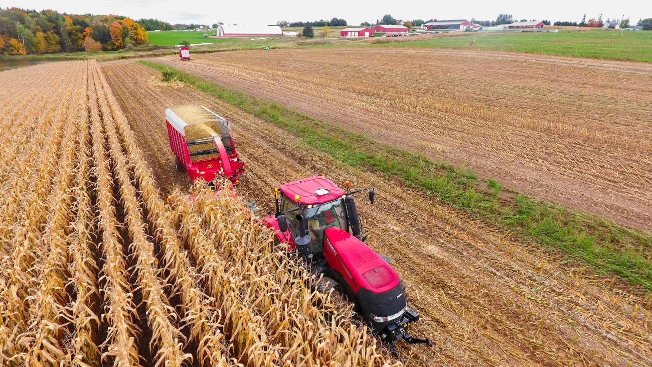 A large red tractor harvesting corn at the Agriculture Center of Excellence.