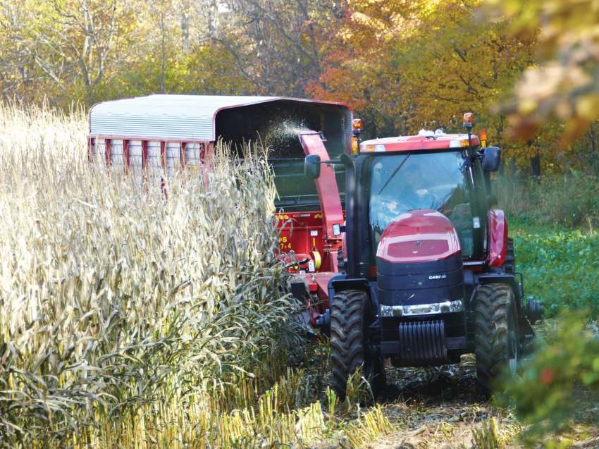 An agriculture student does some harvesting, driving a red tractor in the field.