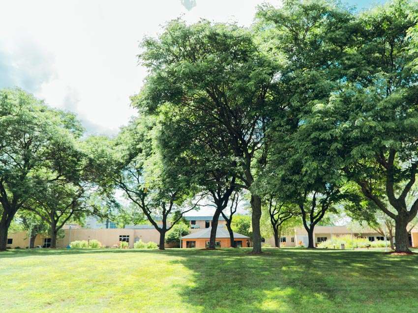 The grass-covered portion of the Courtyard at the Wausau Campus, with several trees providing shade.