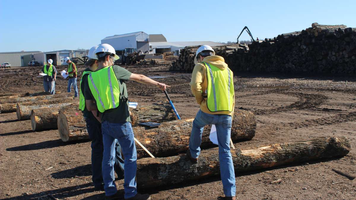 Hardwood Log Scaling & Grading Conferences, Seminars, and