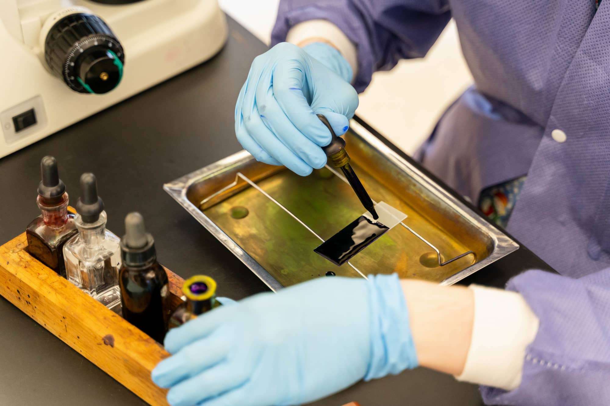 A close-up view of a student squeezing drops of an inky black solution from an eyedropper onto a microscope plate.