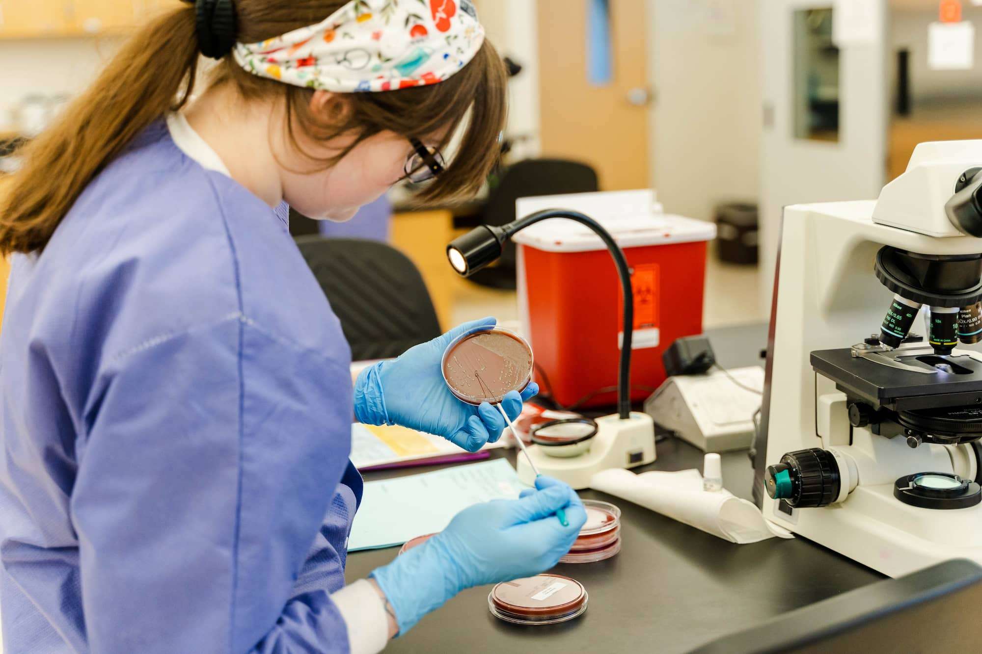 Over the shoulder view of student examining samples in petri dishes.