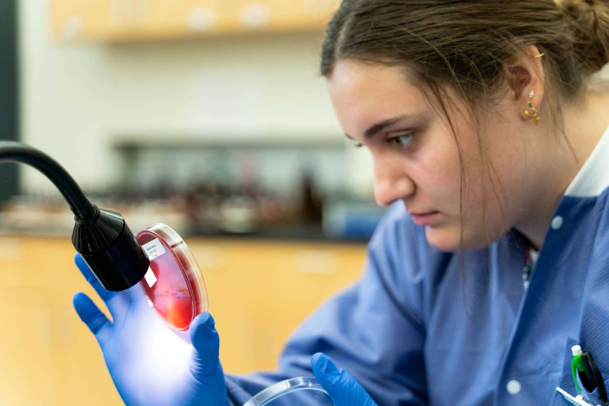 A close-up of a student raising a microbiology sample to a lamp for closer examination. (Medical Laboratory Technician Gallery)