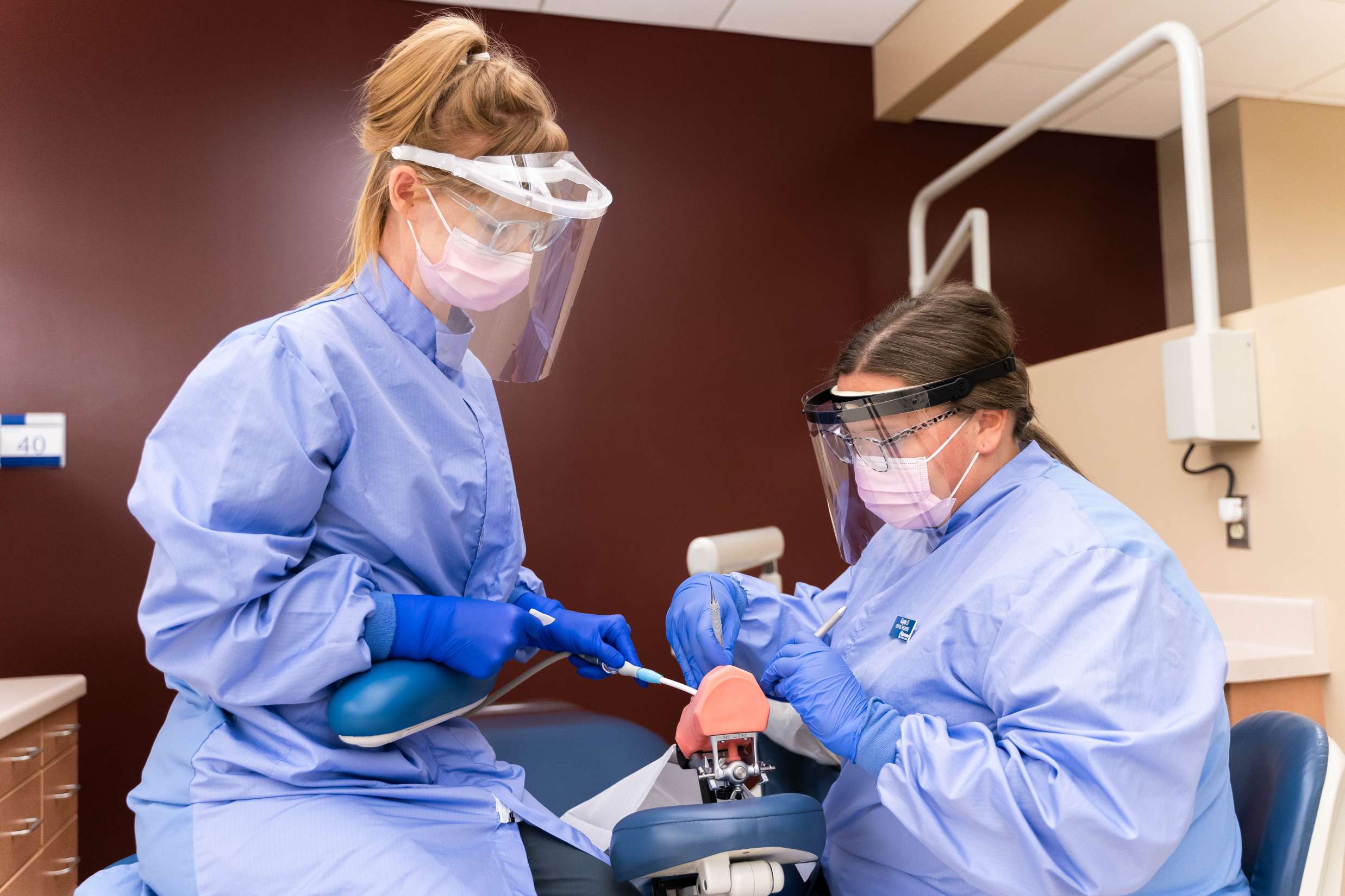 Two dental hygienists are using a mouth model to practice oral cleaning procedures.