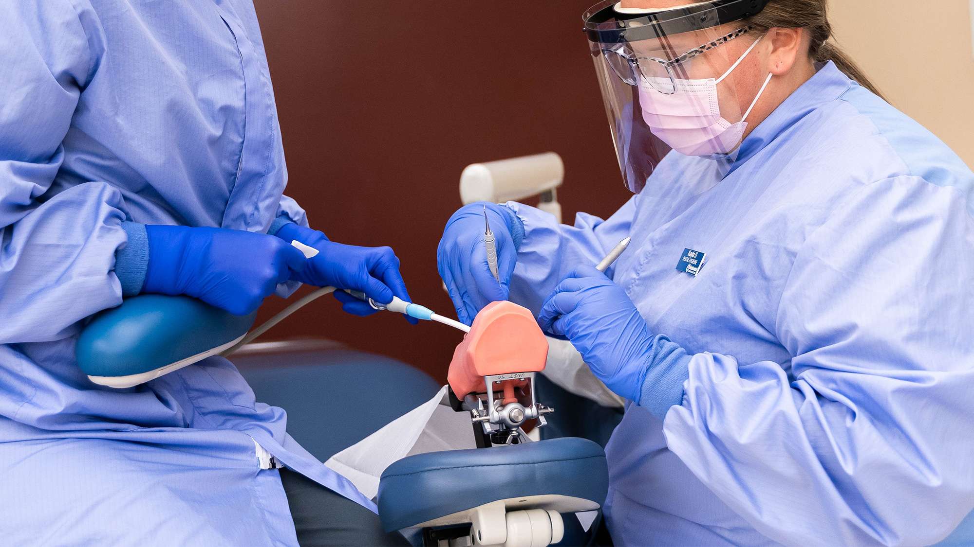 Two dental hygienists are using a mouth model to practice oral cleaning procedures (close up).