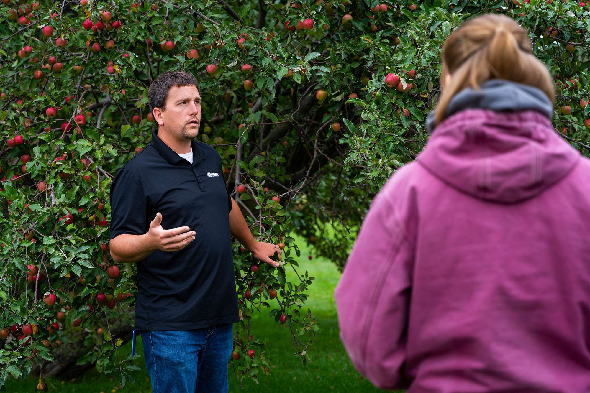 A man is standing next to apple trees, giving an explanation of his crops to another person.