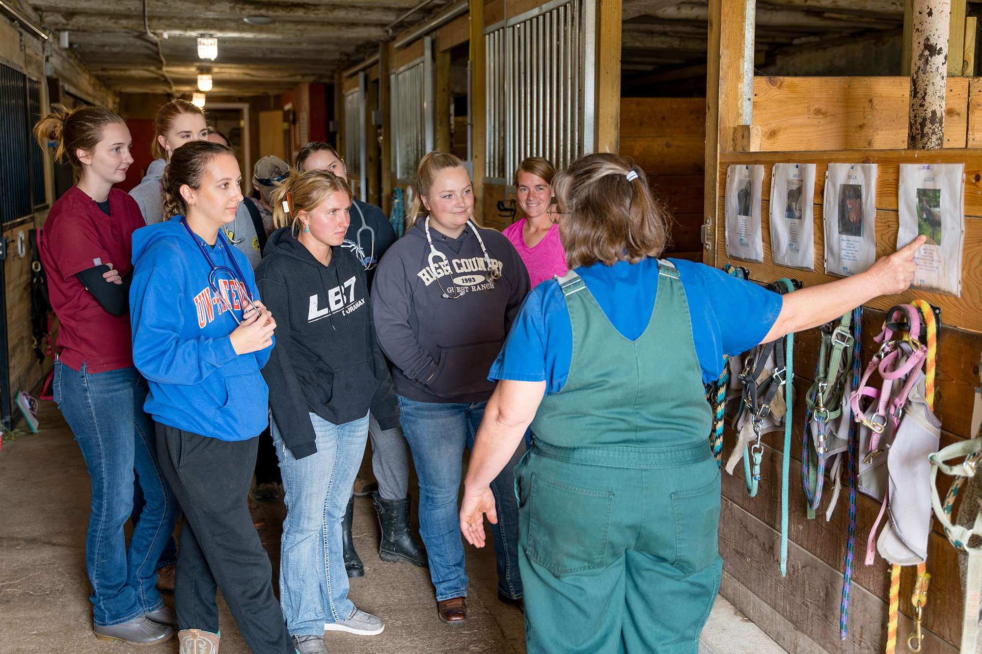 A group of students are being taught about a particular horse by a Veterinary Technician.